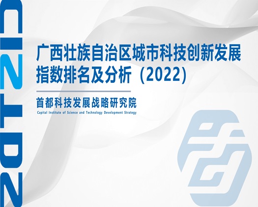 操嫩逼嫩骚嫩逼视频【成果发布】广西壮族自治区城市科技创新发展指数排名及分析（2022）